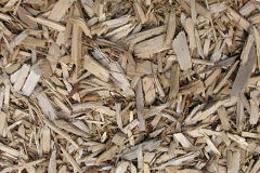biomass boilers Llandrillo