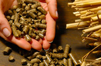 free Llandrillo biomass boiler quotes