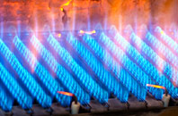Llandrillo gas fired boilers